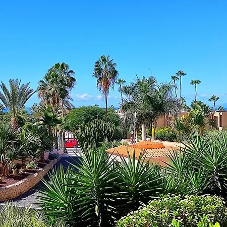 Estudio Borinquen Near The With Pool 아파트 *